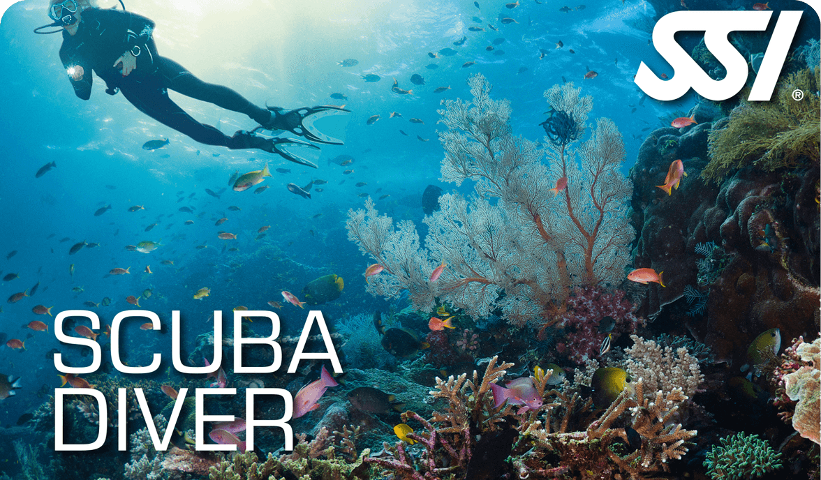 SSI Scuba Diver