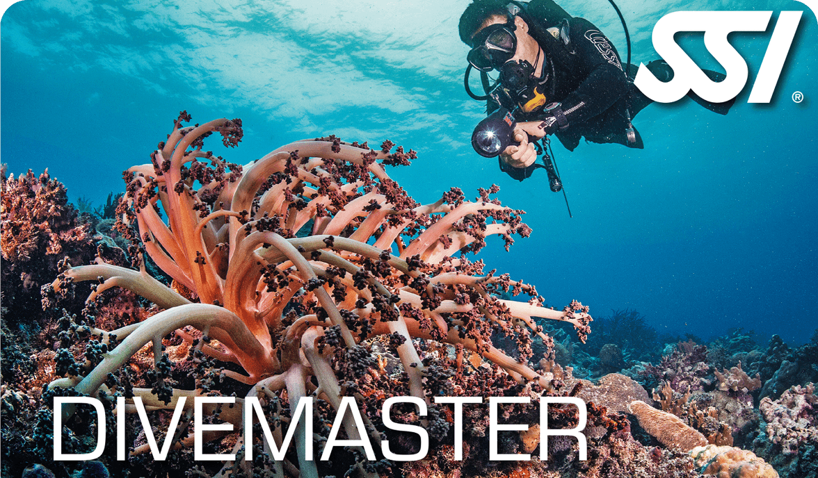 SSI Divemaster