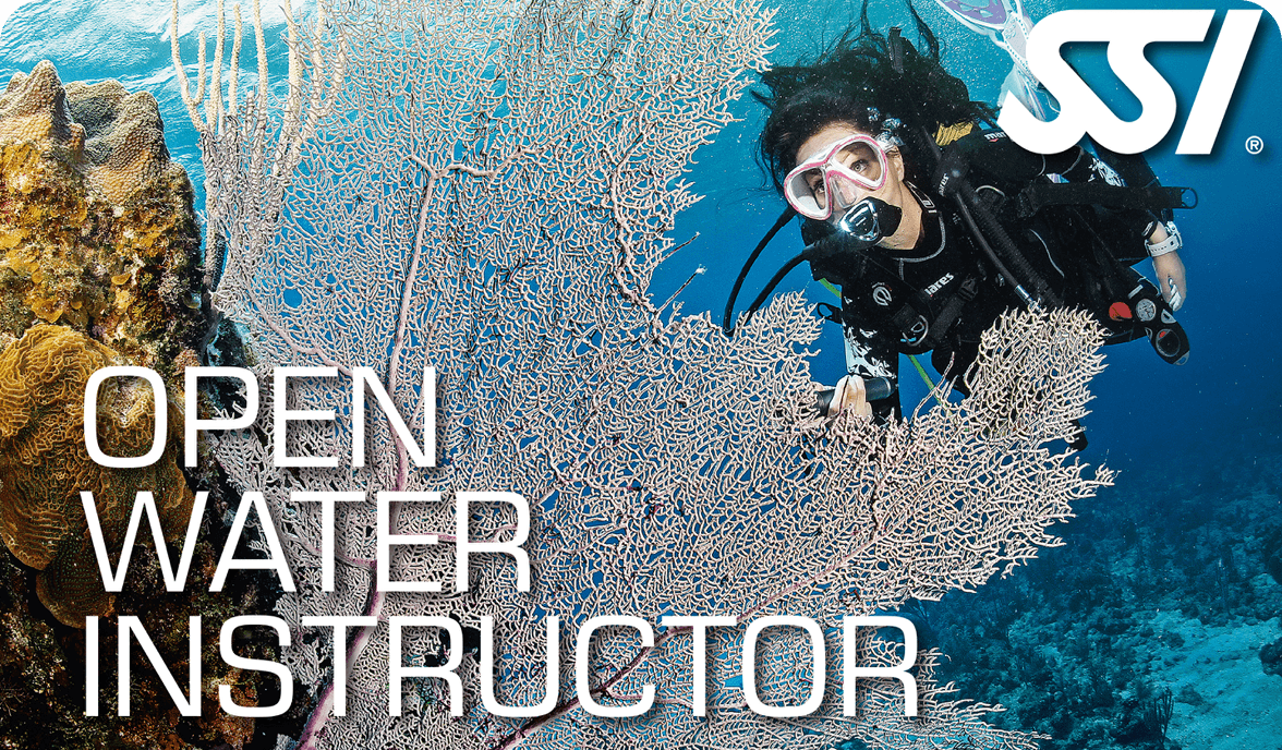 SSI Open Water Diver
