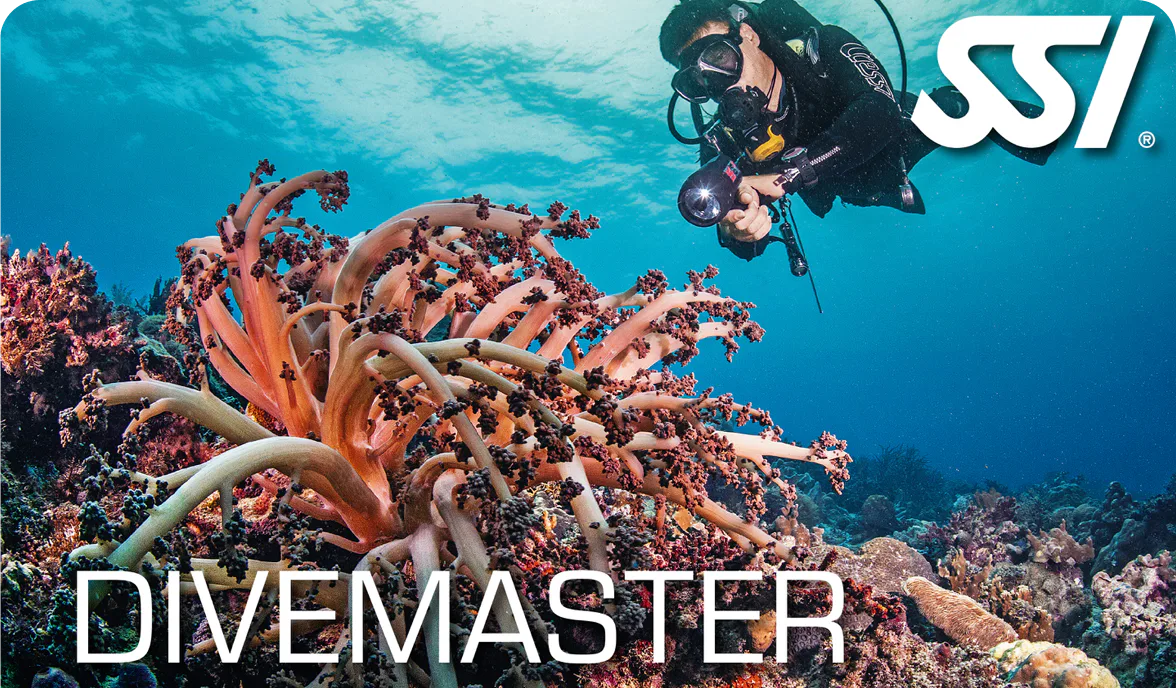 SSI Divemaster