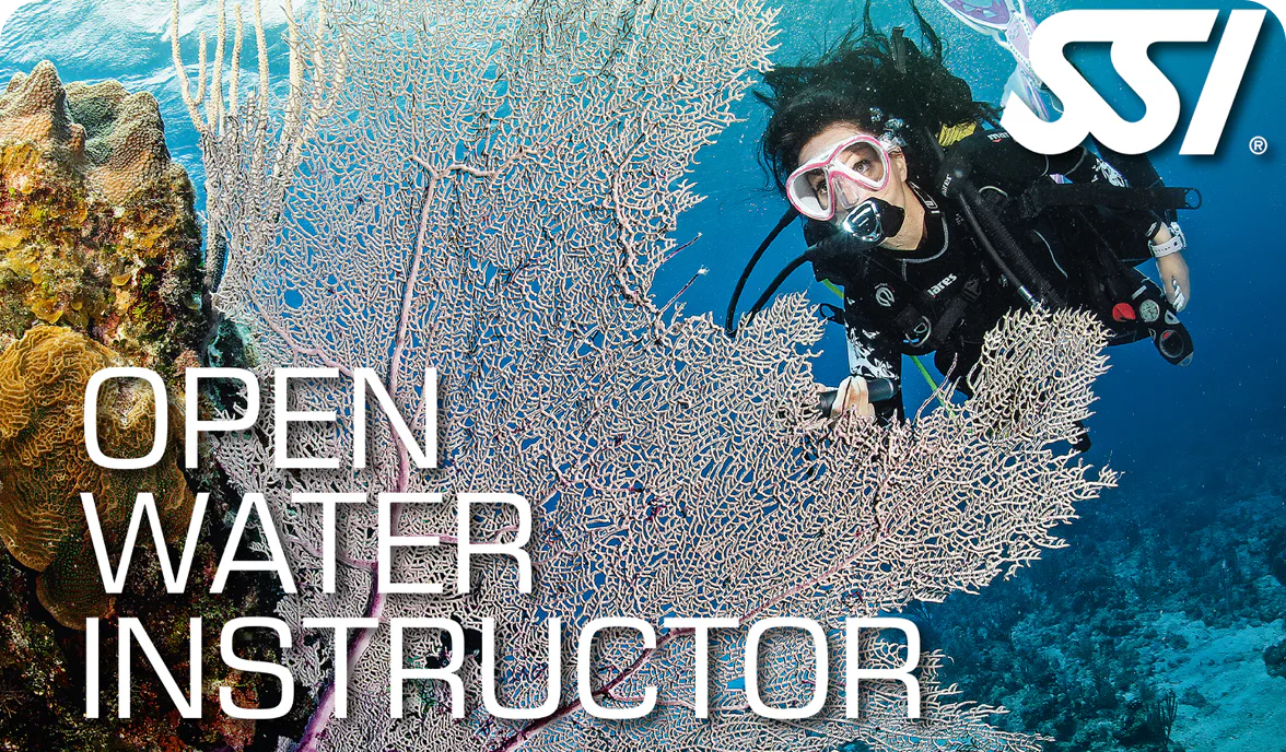 SSI Open Water Diver